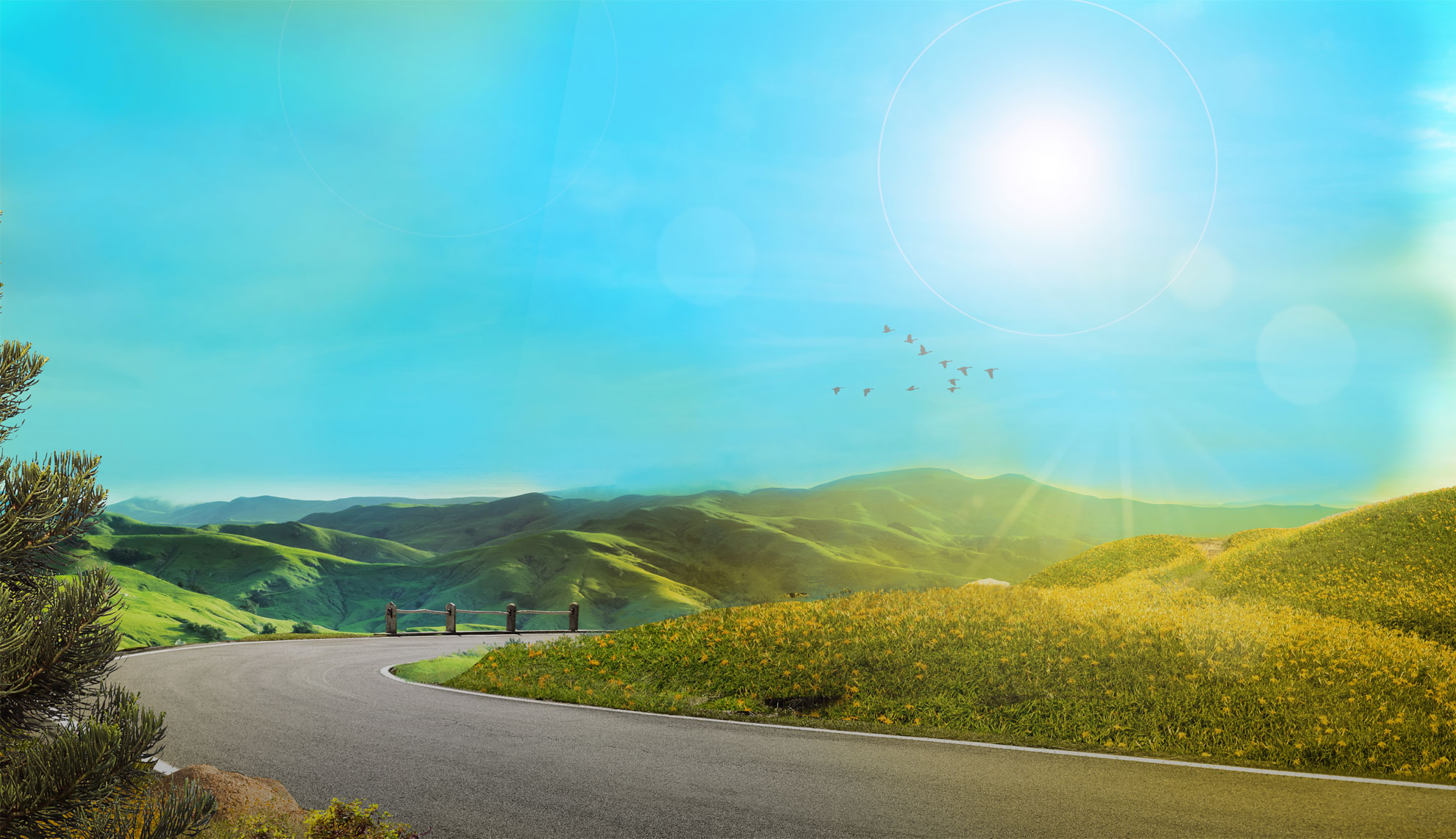 Venclexta banner